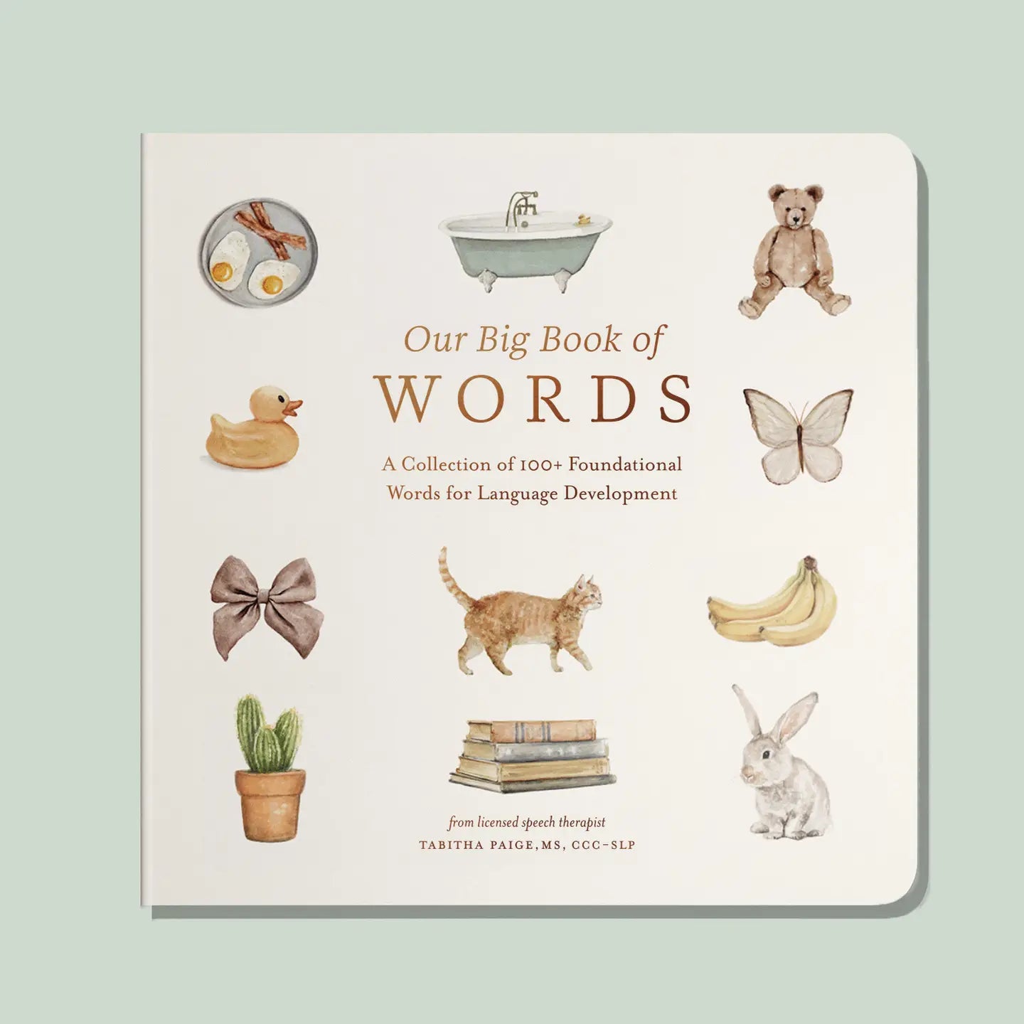 Our Big Book of First Words (Baby Board Book)