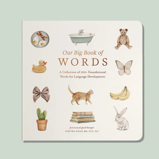 Our Big Book of First Words (Baby Board Book)