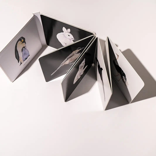 Black and White Contrast Book For Baby