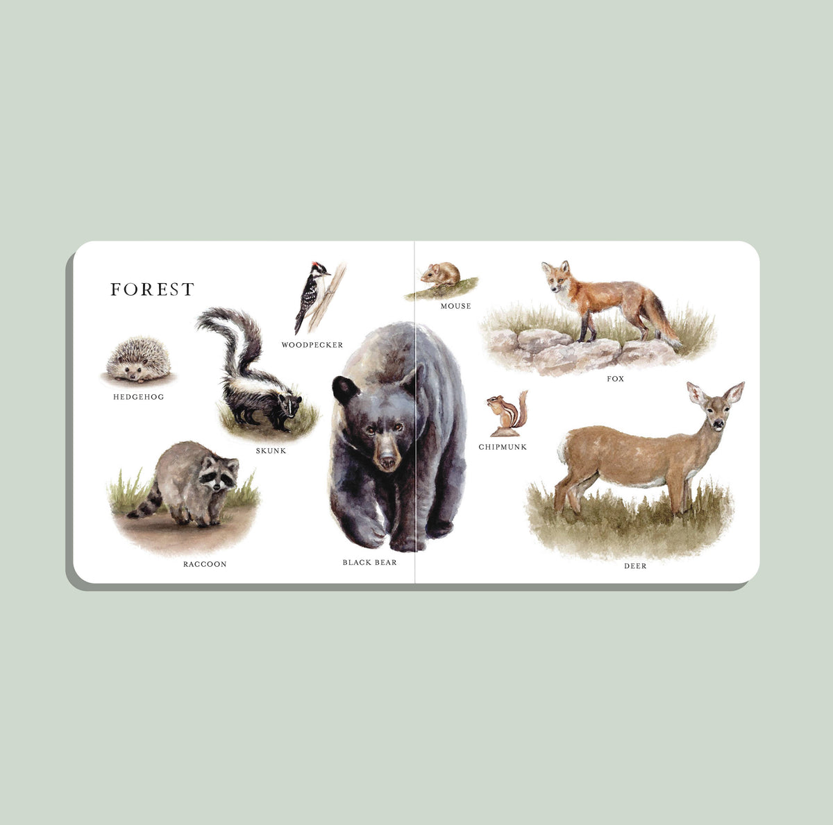 Our Big Book of Animals (Board Book)