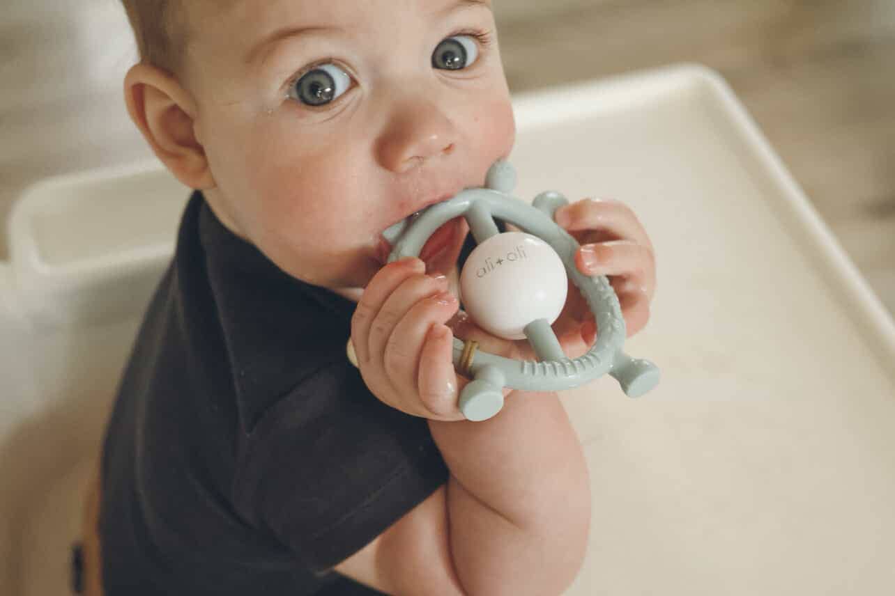 Giraffe Teether & Rattle Food-Grade Silicone Toy (Mist)